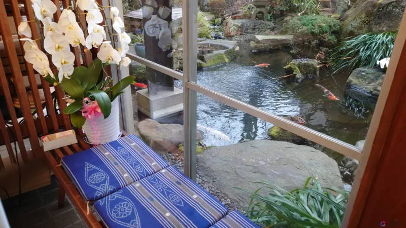 鯉もいるお庭を眺めながら一息できます。
