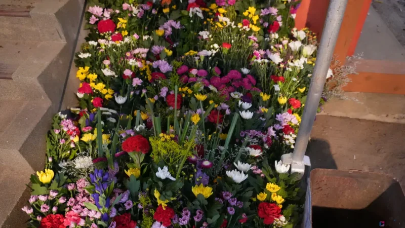 たくさんのきれいいなお花が供えられています