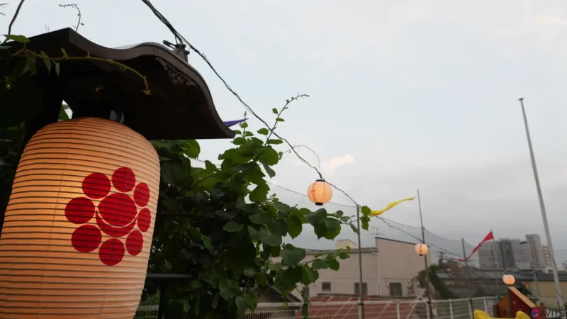 ややどんよりした天気です