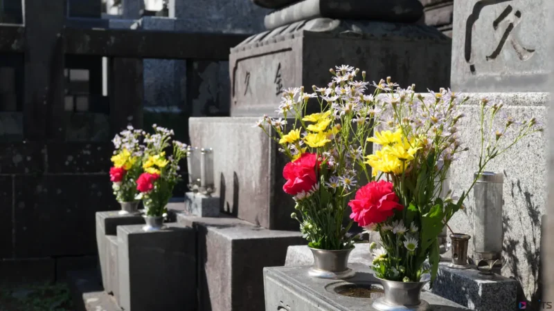 きれいなお花がそえられています